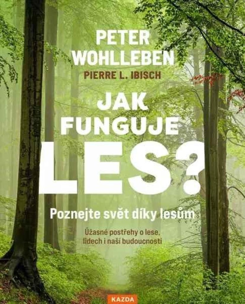 Jak funguje les?: Poznejte svět díky lesům