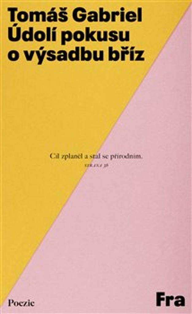 Údolí pokusu o výsadbu bříz