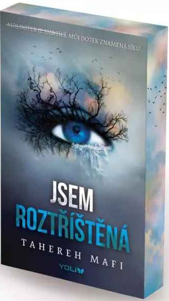 Jsem roztříštěná