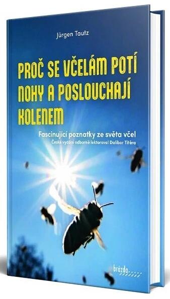 Proč se včelám potí nohy a poslouchají kolenem