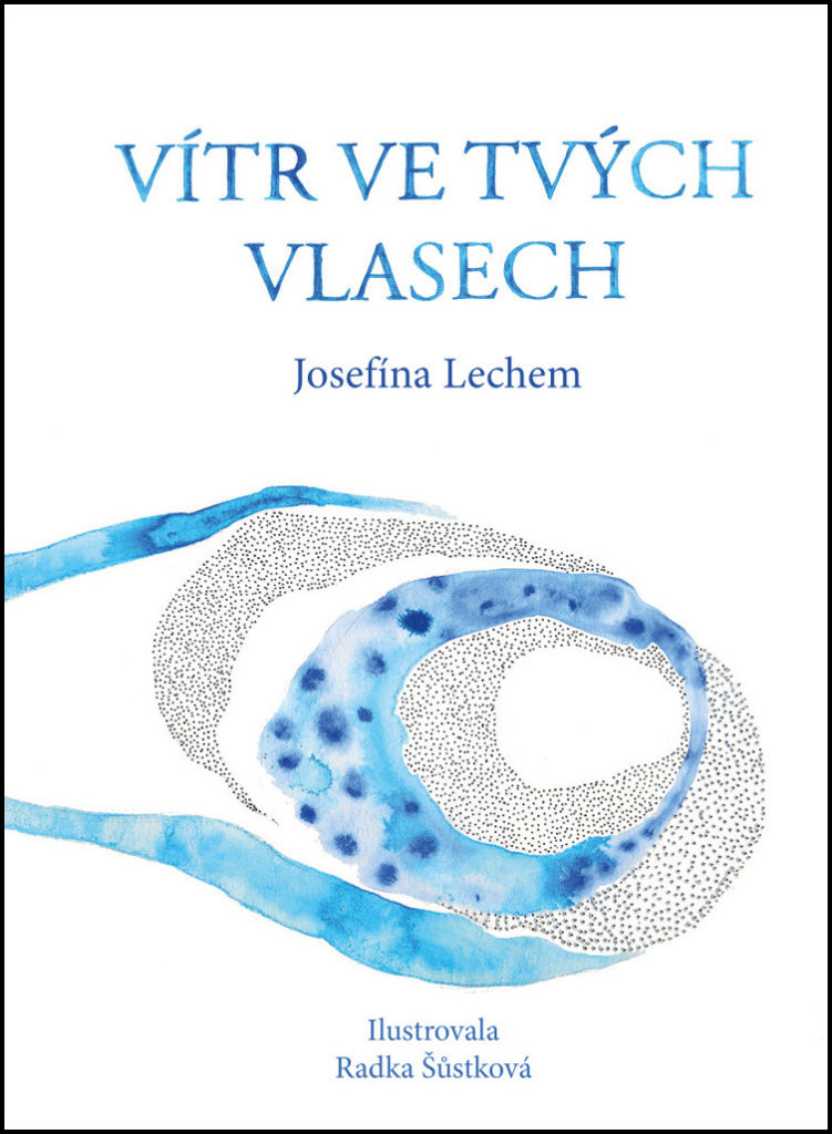 Vítr ve tvých vlasech
