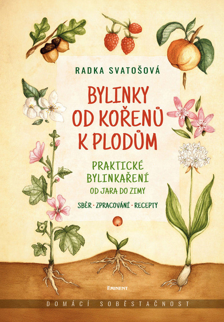 Bylinky od kořenů k plodům: Praktické bylinkaření od jara do zimy