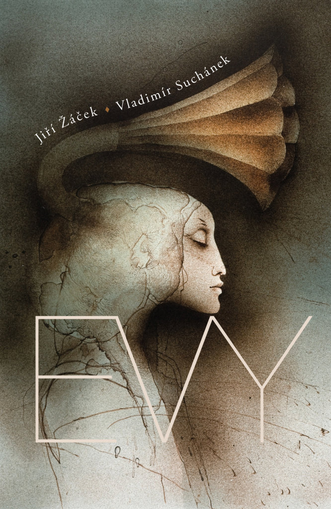 Evy