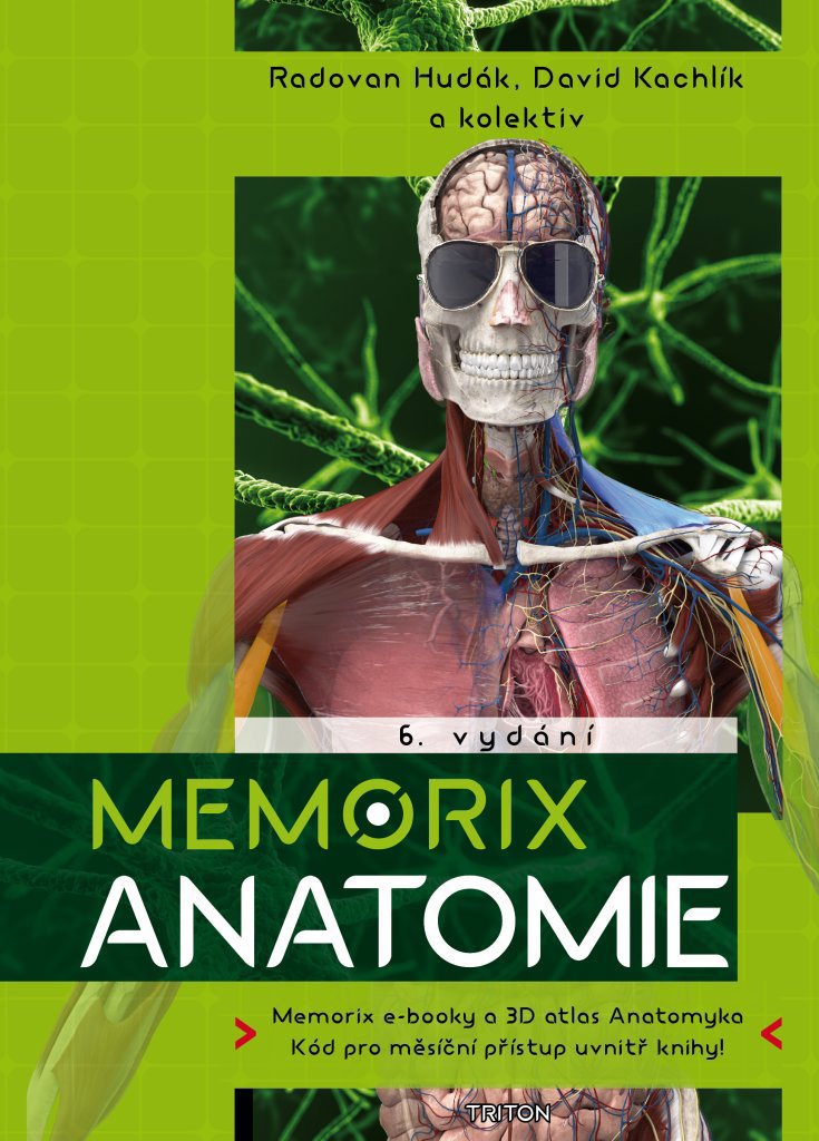 Memorix anatomie