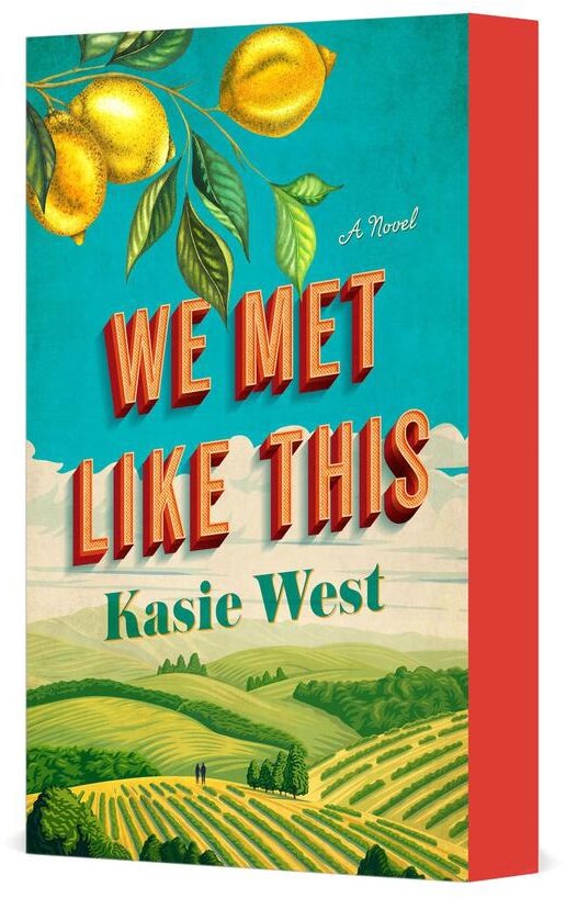 We Met Like This: A Novel