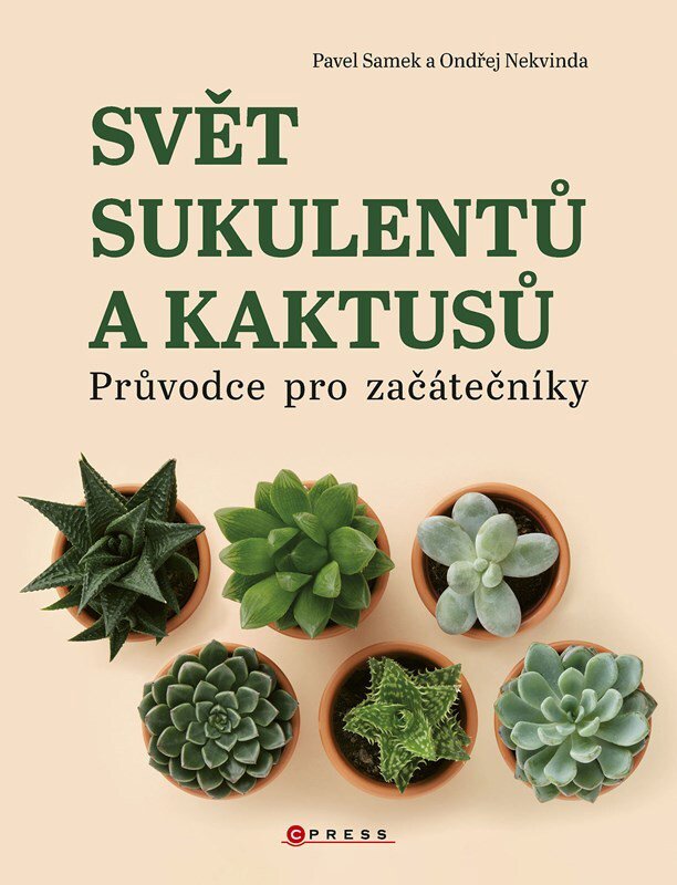 Svět sukulentů a kaktusů: Průvodce pro začátečníky