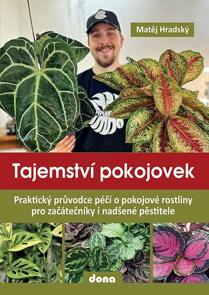 Tajemství pokojovek: Praktický průvodce péčí o pokojové rostliny pro začátečníky i nadšené pěstitele