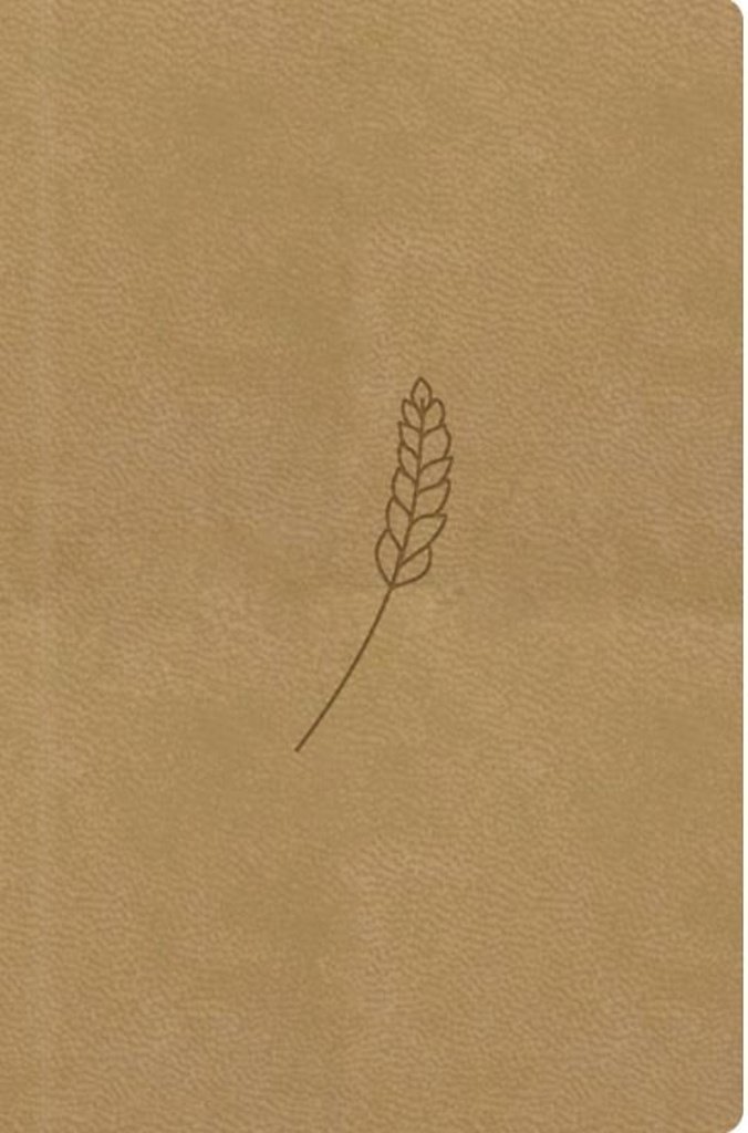 Bible21 kapesní Honey