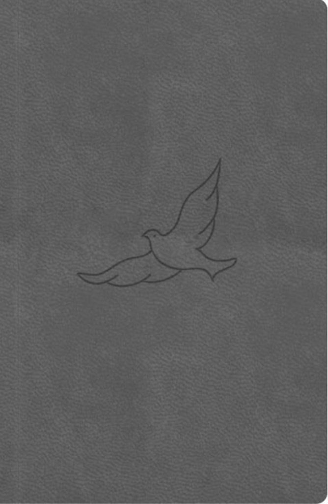 Bible21 kapesní Pepper