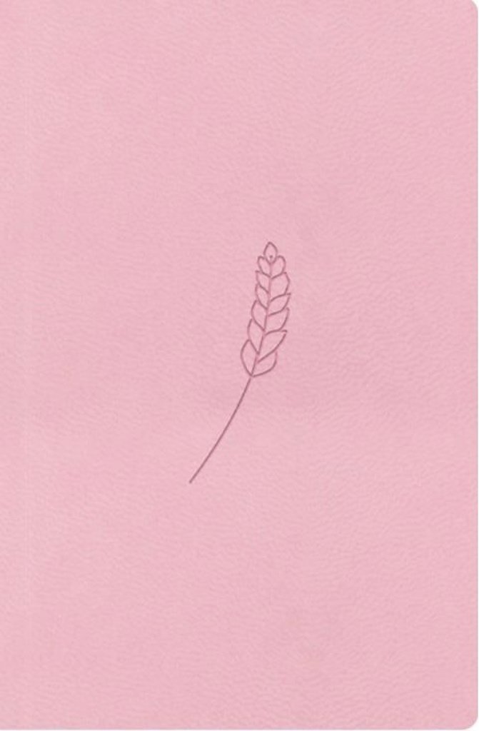 Bible21 kapesní Rosé