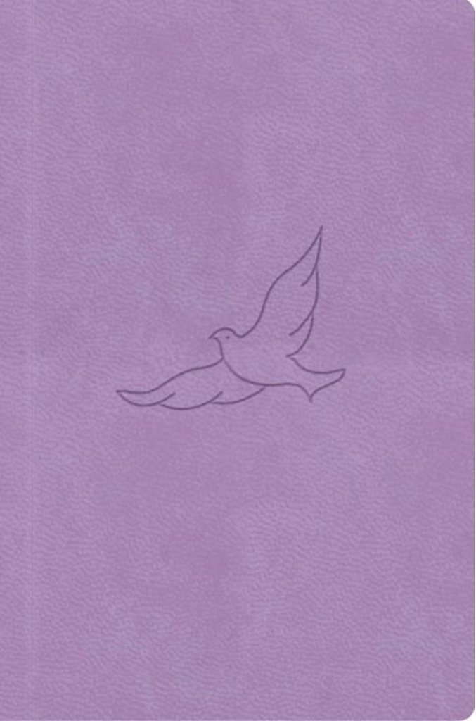 Bible21 kapesní Lila