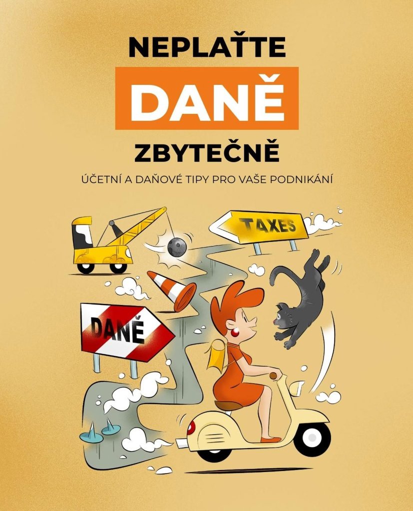 Neplaťte daně zbytečně!: Účetní a daňové tipy pro vaše podnikání