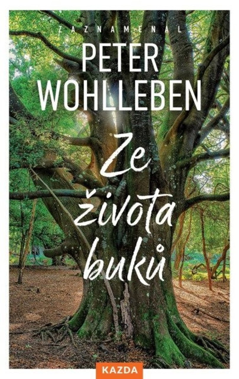 Ze života buků: Strom vypráví svůj úžasný příběh