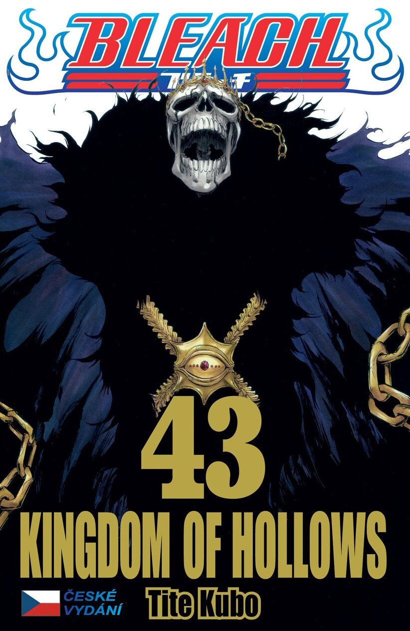Bleach 43: Kingdom of Hollows