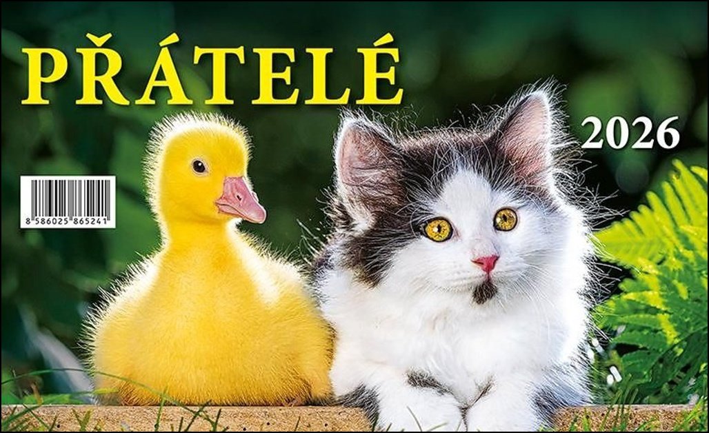 BB ART Přátelé 2026