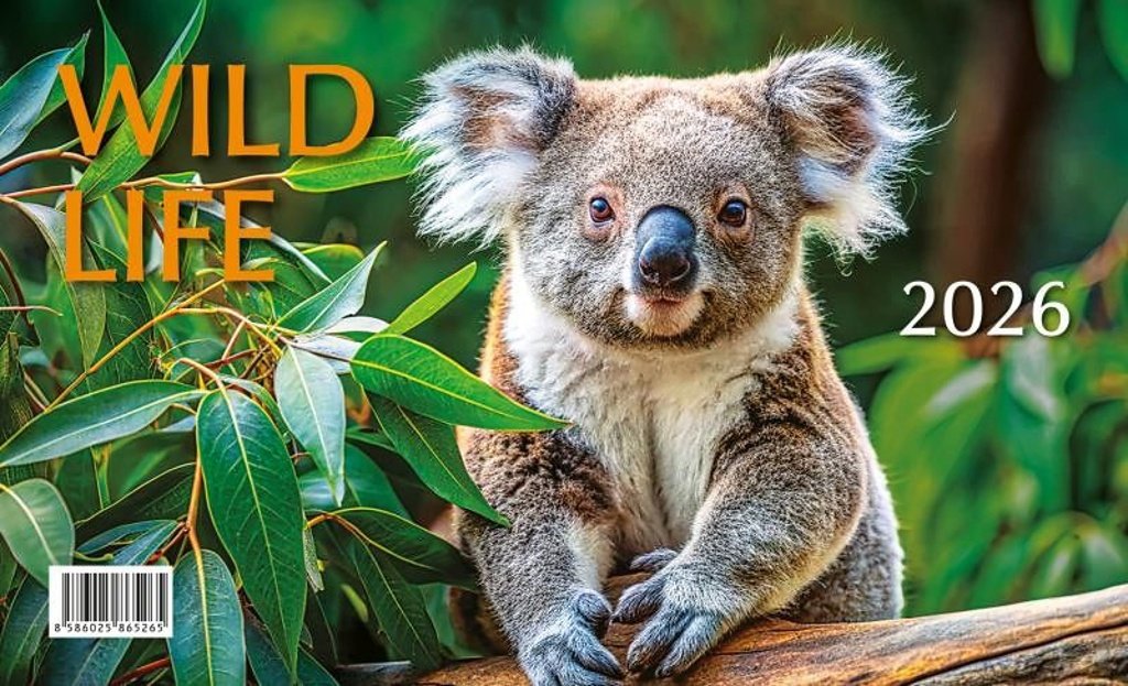 BB ART Mláďata Wild life 2026