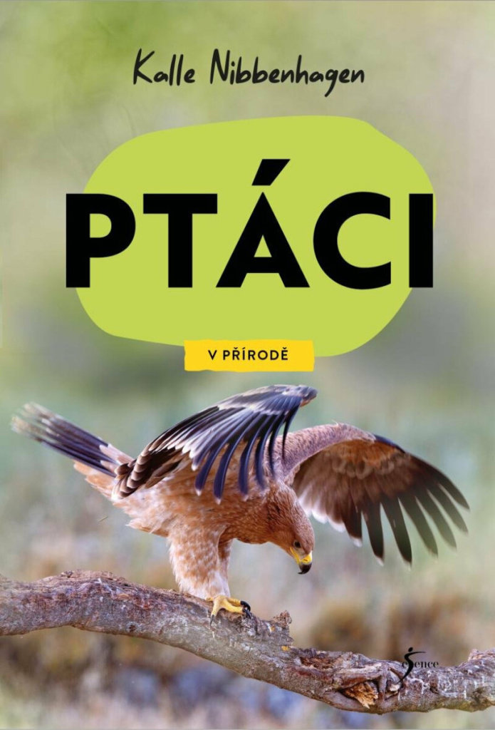 Ptáci V přírodě