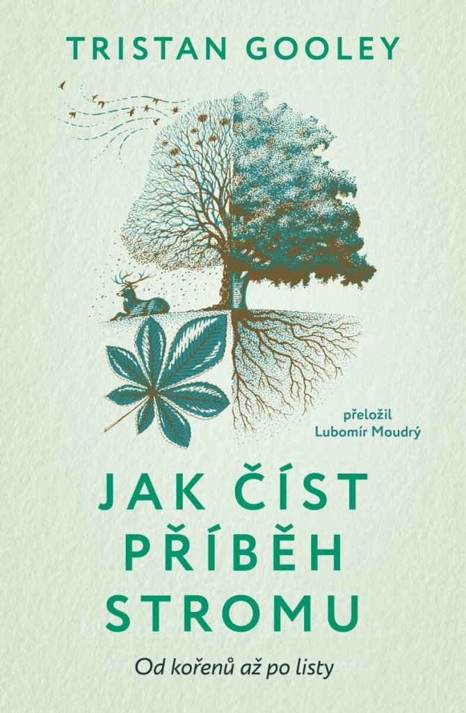 Jak číst příběh stromu: Od kořenů až po listy