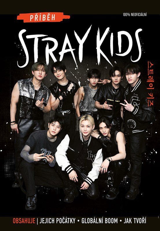 Příběh Stray Kids: Neautorizovaný průvodce