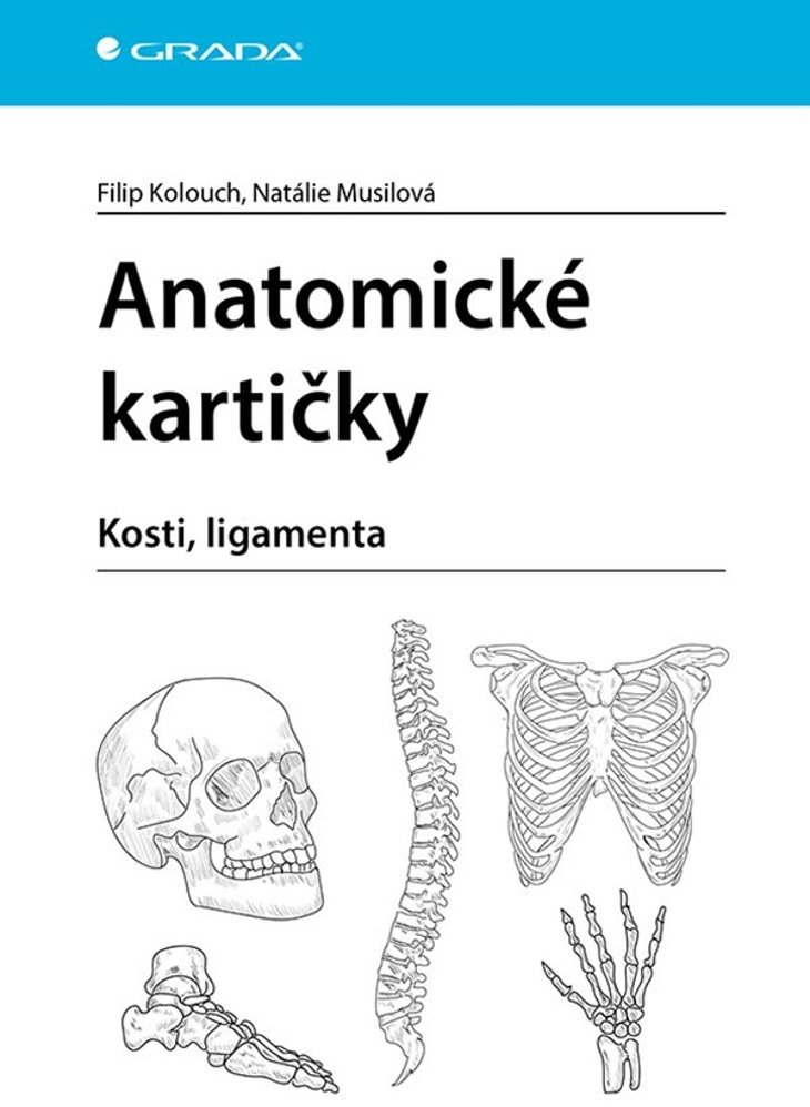 Anatomické kartičky: kosti, ligamenta