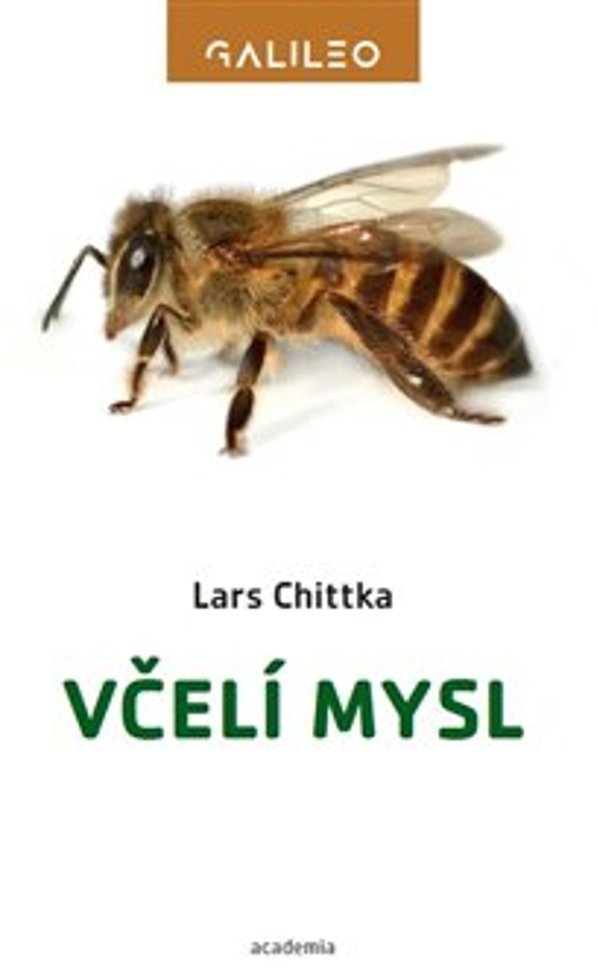 Včelí mysl