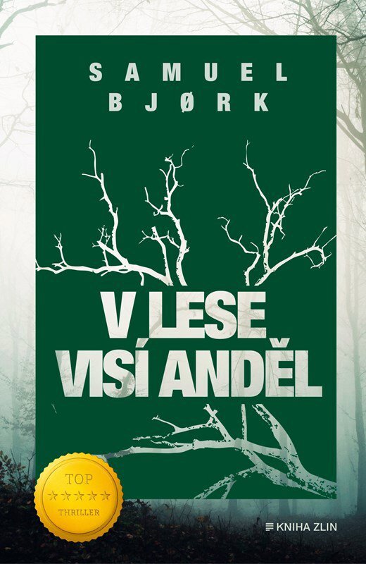 V lese visí anděl