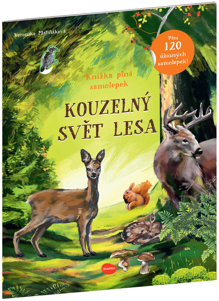 Kouzelný svět lesa: Kniha samolepek