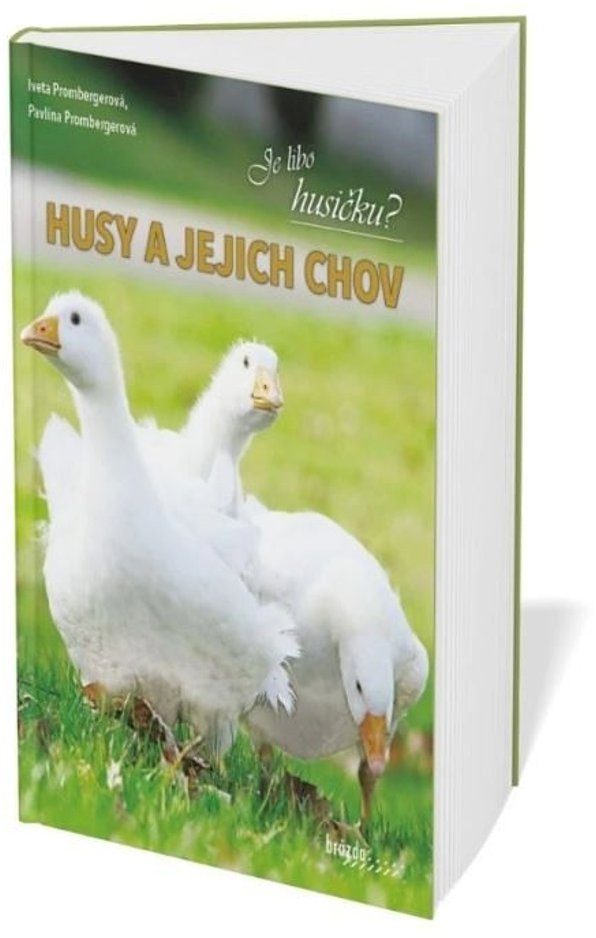 Husy a jejich chov
