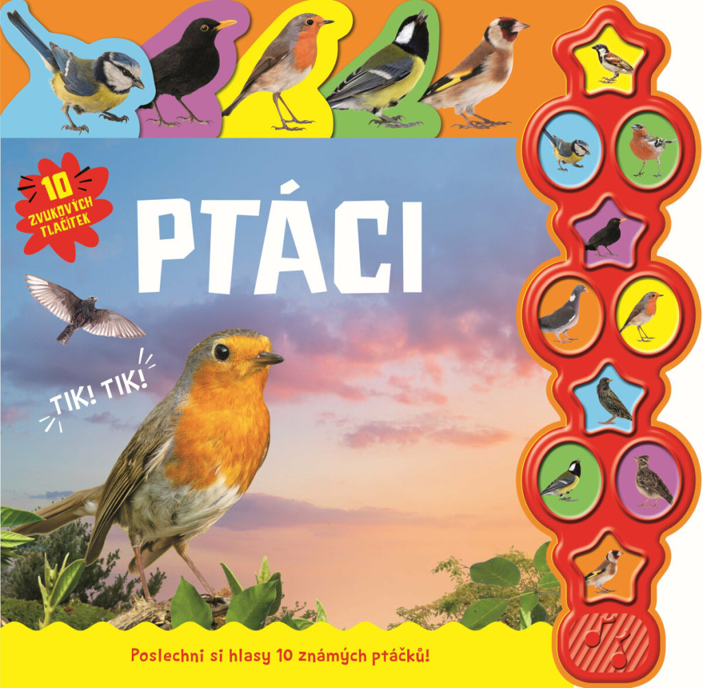 Ptáci: Poslechni si hlasy 10 známých ptáčků!