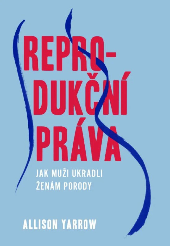 Reprodukční práva: Jak muži zneužívají mateřství, aby nás ovládali