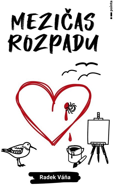 Mezičas rozpadu