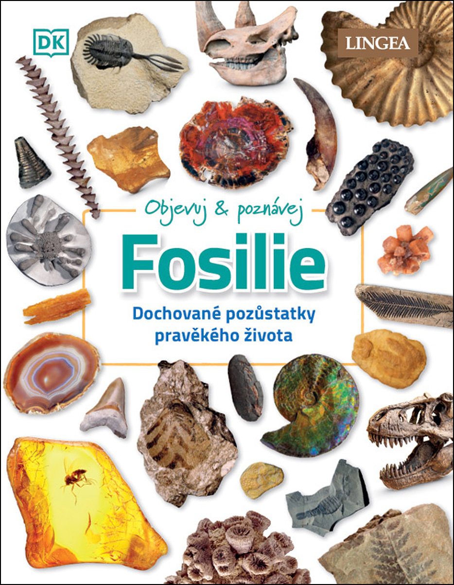 Fosilie: Dochované pozůstatky pravěkého života