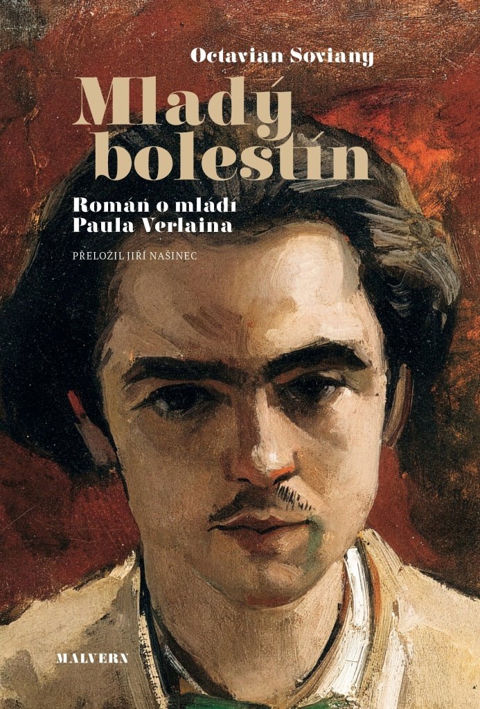 Mladý bolestín: Román o mládí Paula Verlaina