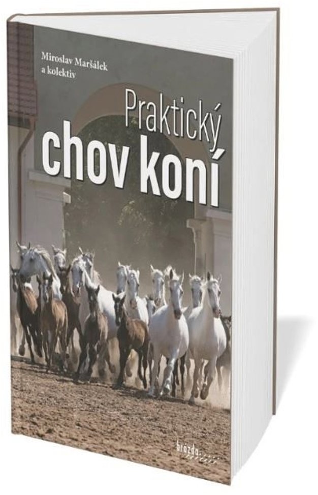 Praktický chov koní