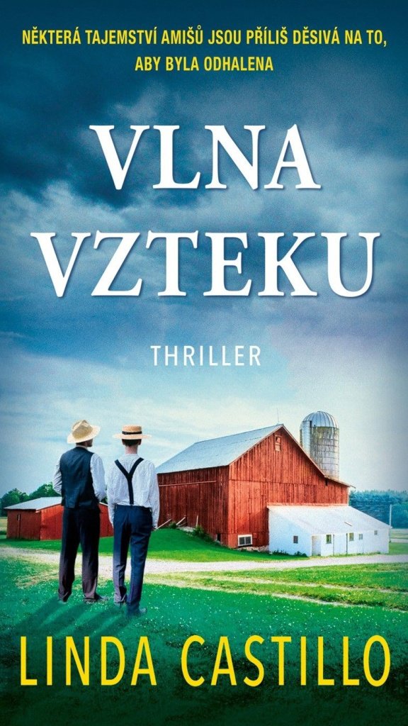 Vlna vzteku