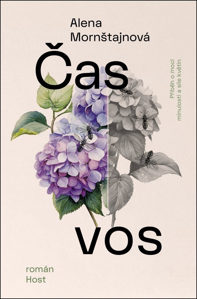 Čas vos
