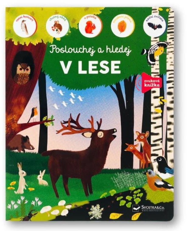 Poslouchej a hledej V lese
