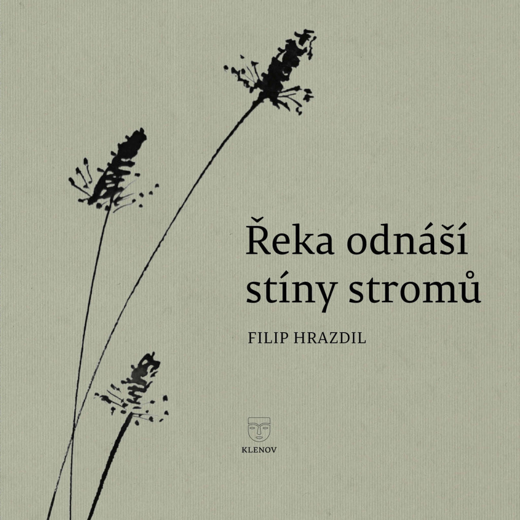 Řeka odnáší stíny stromů