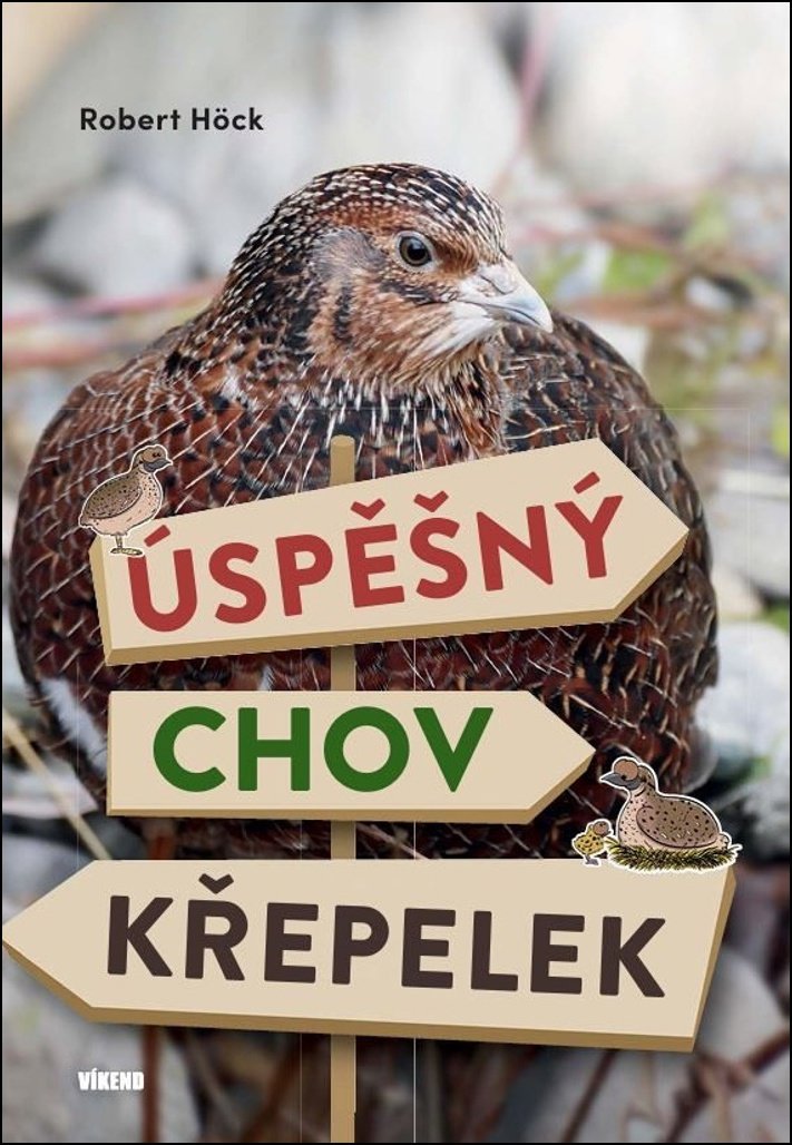 Úspěšný chov křepelek