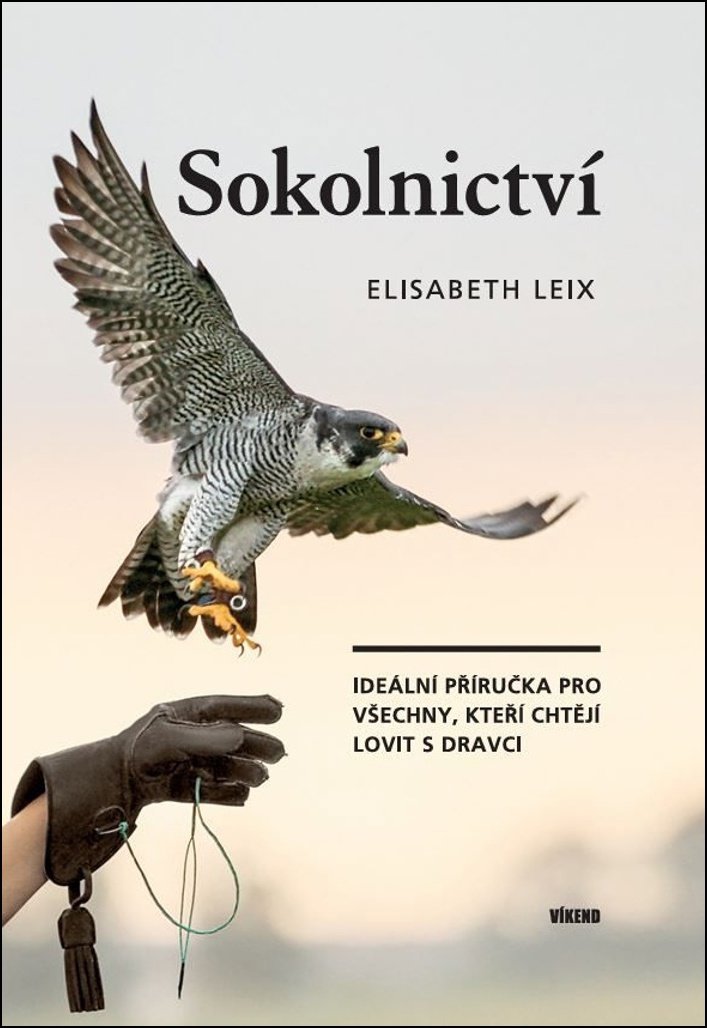 Sokolnictví: Ideální příručka pro všechny, kteří chtějí lovit s dravci