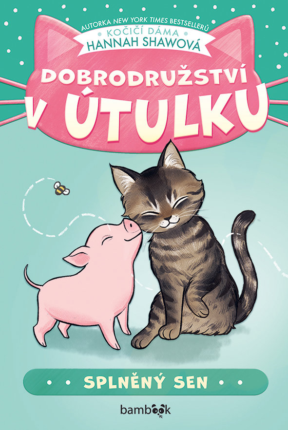 Dobrodružství v útulku Splněný sen