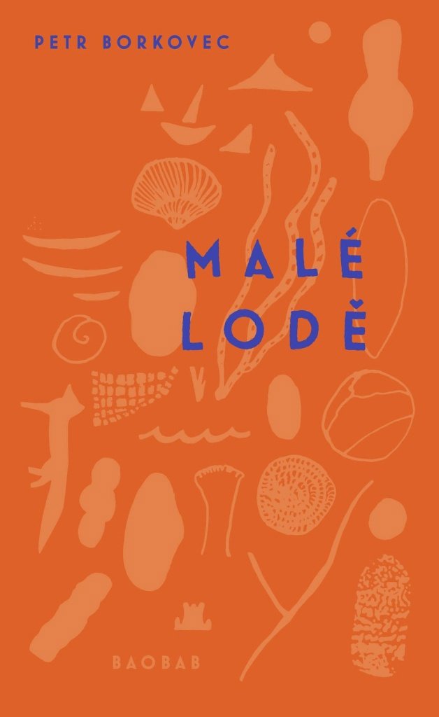 Malé lodě