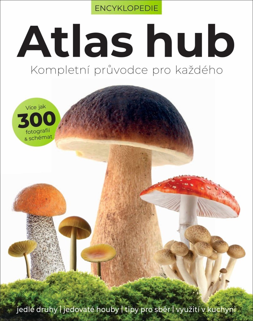Atlas hub: Kompletní průvodce pro každého