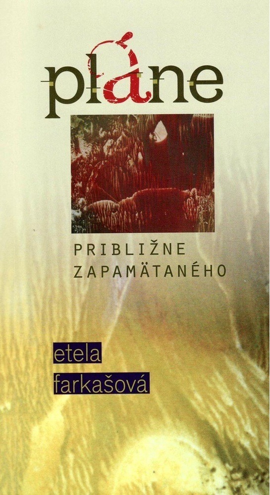 Pláne približne zapamätaného