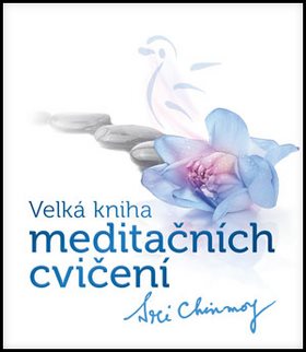Kniha Velká kniha meditačních cvičení