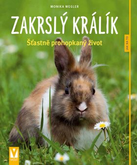 Zakrslý králík: Šťastně prohopkaný život