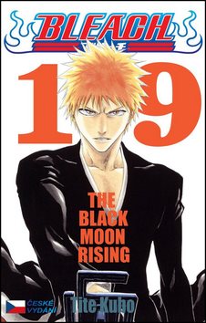 Bleach 19: The Black Moon Rising