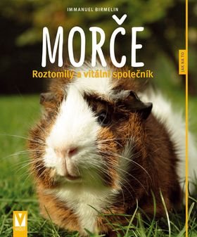 Morče: Roztomilý a vitální společník