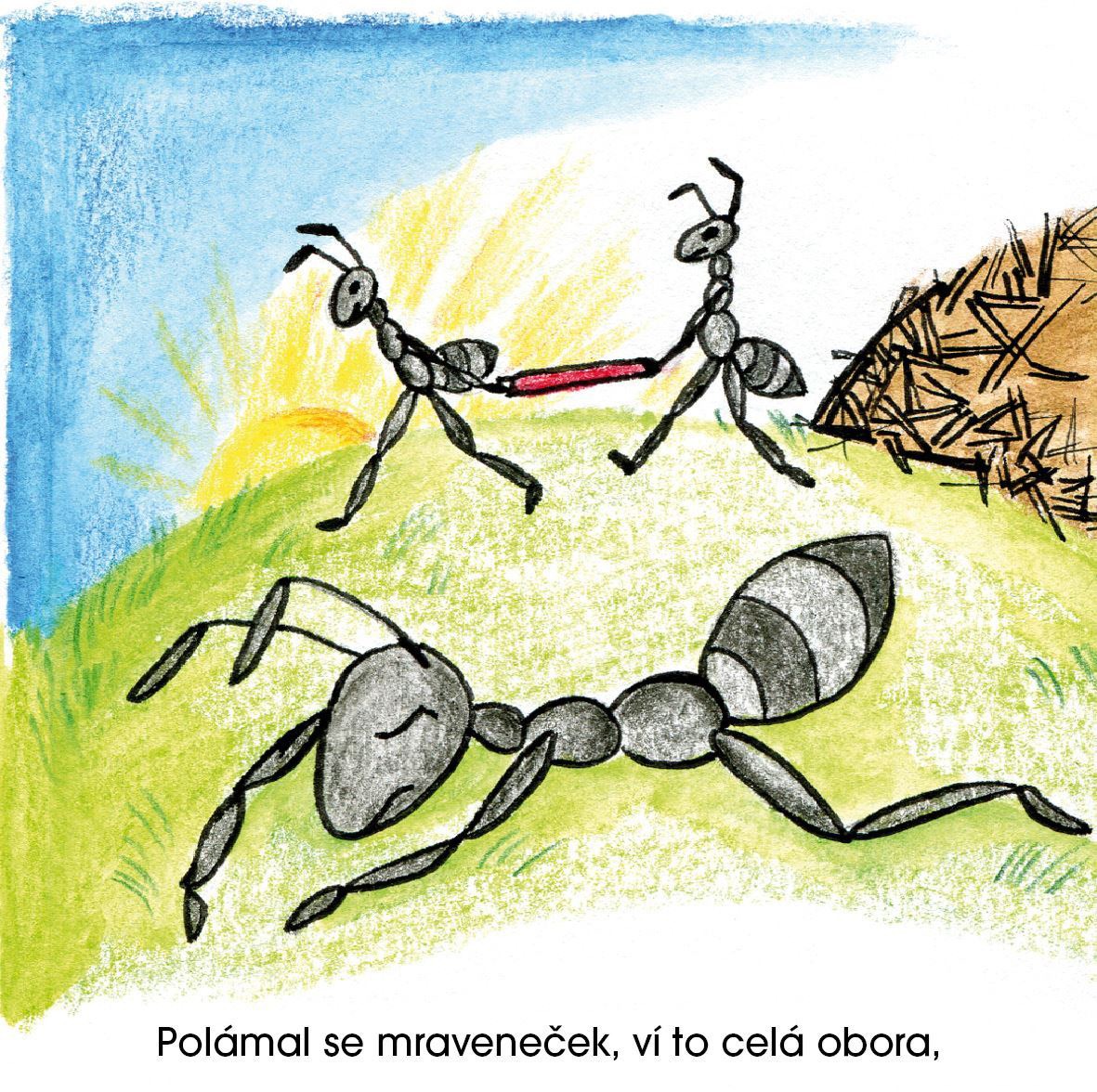 ORY Books Polámal se mraveneček