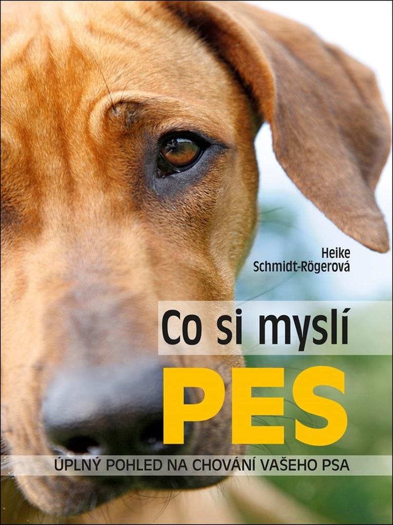 Co si myslí pes: Úplný pohled na chování vašeho psa